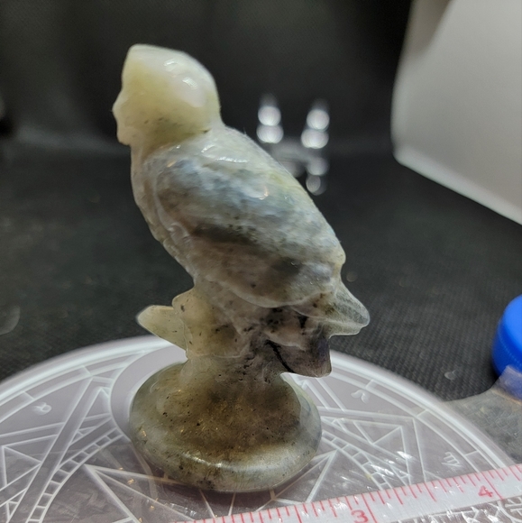 Labordite Eagle - Picture 2 of 6